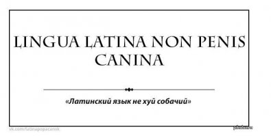 порадовало, хоть и современная интерпретация ))))))))