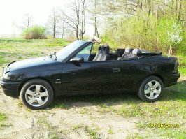 Мой красавец