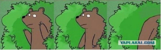 Это медведь, мама!