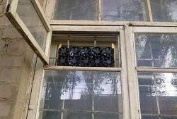 Подобные решётки на окнах подсказывают мне о местах не столь отдалённых.