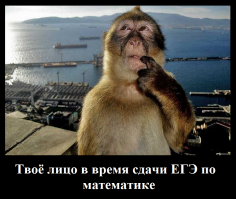Фотоподборка за 02.06.2015