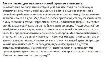 Фишкина солянка