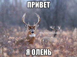 Скорая как раз вовремя