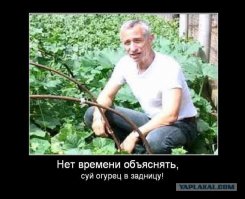 9 необычных применений обычного огурца