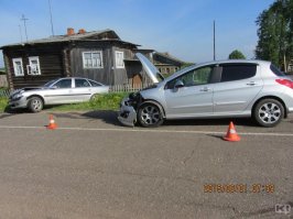 Два оленя не поделили дорогу