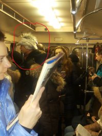 Сама фоткала. Правда в московском метро.