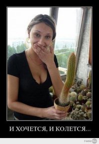 Защищает ли презерватив?