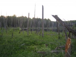 карбозеро, оезеро и еще какое-то озеро))туризм на пару месяцев в глуши