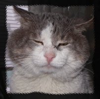 он не косой, он раскосый...