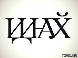 Кота с необычной мордой спасли от детей-хулиганов в Новосибирске