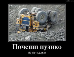 20 счастливых животных, которые хотят, чтобы им почесали животики  