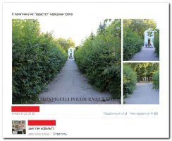 Смешные комментарии из социальных сетей: 02.06.2015