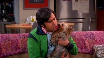 От уха до уха: Корица - самая счастливая собака в мире