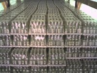 Блииин!! 20 лет уже!! Это ж сколько..