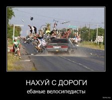 и эти ДО_л_Бо_ё_бы претендуют на право двигаться по дороге вместе с ТС.... печаль беда