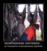 Третья точно убита челябинским охотником)))) попадание отчетливо видно!