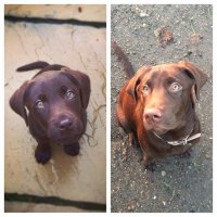 Шикарные глаза, такой чистый взгляд!