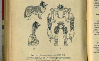Редкие кадры, открывающие историю с другой стороны 