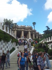 Барселона. Парк Гуэль, вот где красота и вот где много попугаев! Они кстати жили в зоопарке Барселоны, потом вырвались на волю и расселились по паркам, живут в основном в пальмах.