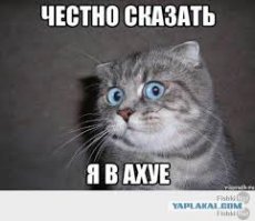 12 людей потерявших около 50 кг делятся своими историями и дают реальные советы для похудения 