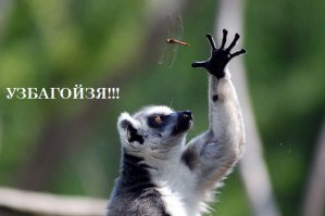 Удачный кадр