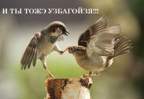 Удачный кадр