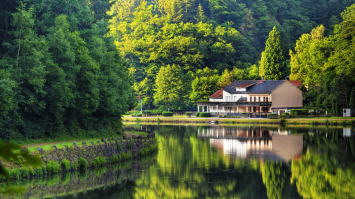 Цветотерапия: зеленый цвет настойчивости