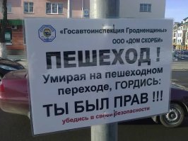 Сбила пешеходов на пешеходном переходе