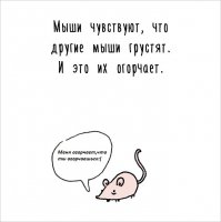 Соберутся такие мыши,и давай грустить,что другие мыши грустят