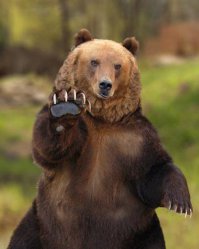 привет,держи)))