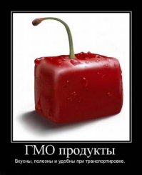 Превращение еды в искусство 
