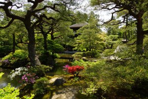 Вообще-то на 7 фотке - Бутан, а не Япония. 

И в Японских садах мало скульптур, потому, что они исповедуют синтоизм и буддизм, соответственно кроме Будды, который как правило, внутри помещения, за исключением Камакуры, например, никаких божеств не изображают - религия такая...

Вот вам садик