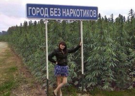 Вот девка насажала!И деньги есть,и весело.