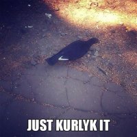 голубь от найк)