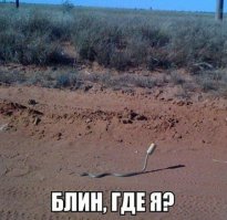 23 фотографии, раскрывающие всю сложность нашей жизни