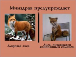 19 плохих привычек, от которых стоит отказаться до 30 лет
