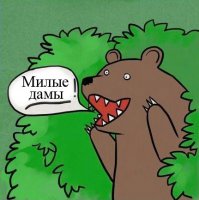 15 СМС о непостижимой женской логике