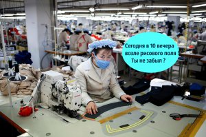 Работающие женщины Северной Кореи
