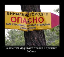 Жизнь сложна и полна опасностей .