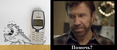 Домашний дракончик, который любит играть с повседневными предметами