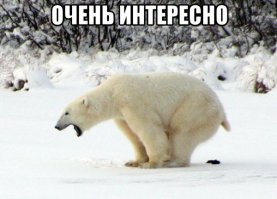 Топ 10 самых больших младенцев