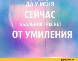 12 вариантов замурррчательного маникюра для любителей кошек