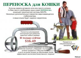 Кошачьи стрижки или когда твой хозяин - парикмахер