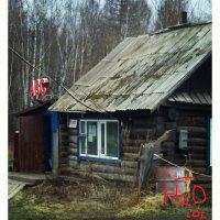 Фотоподборка за 04.06.2015