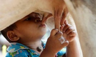 А по-моему нормально. Это редкость, конечно, в отличие от гомосятины всякой, поэтому, наверно, и шокирует. 
А по сути - просто покормила малыша. Животные довольно часто выкармливают детёнышей других видов, в т.ч. человеческих.