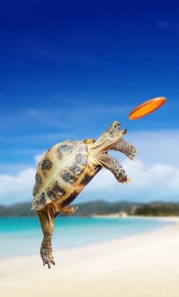 Забавные фотографии животных в момент движения