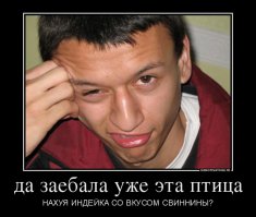 Пикник с индейкой, что поесть на природе 