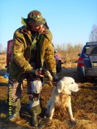 служебные собаки разные, ретриверы сейчас у погранслужбы в почёте и как поводыри, мой например охотник