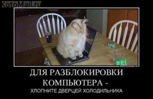 15 животных, которых абсолютно не волнует ваше мнение