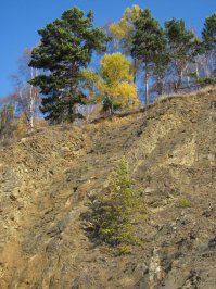 Друзья продолжаю свой рассказ об озере Байкал Листвянка, исток Ангары